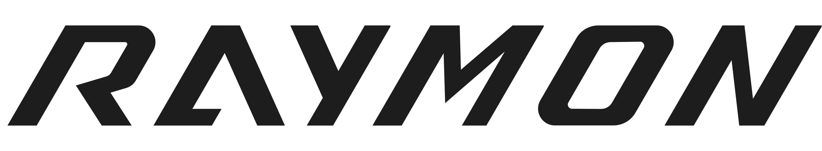 Brand Logo Raymon