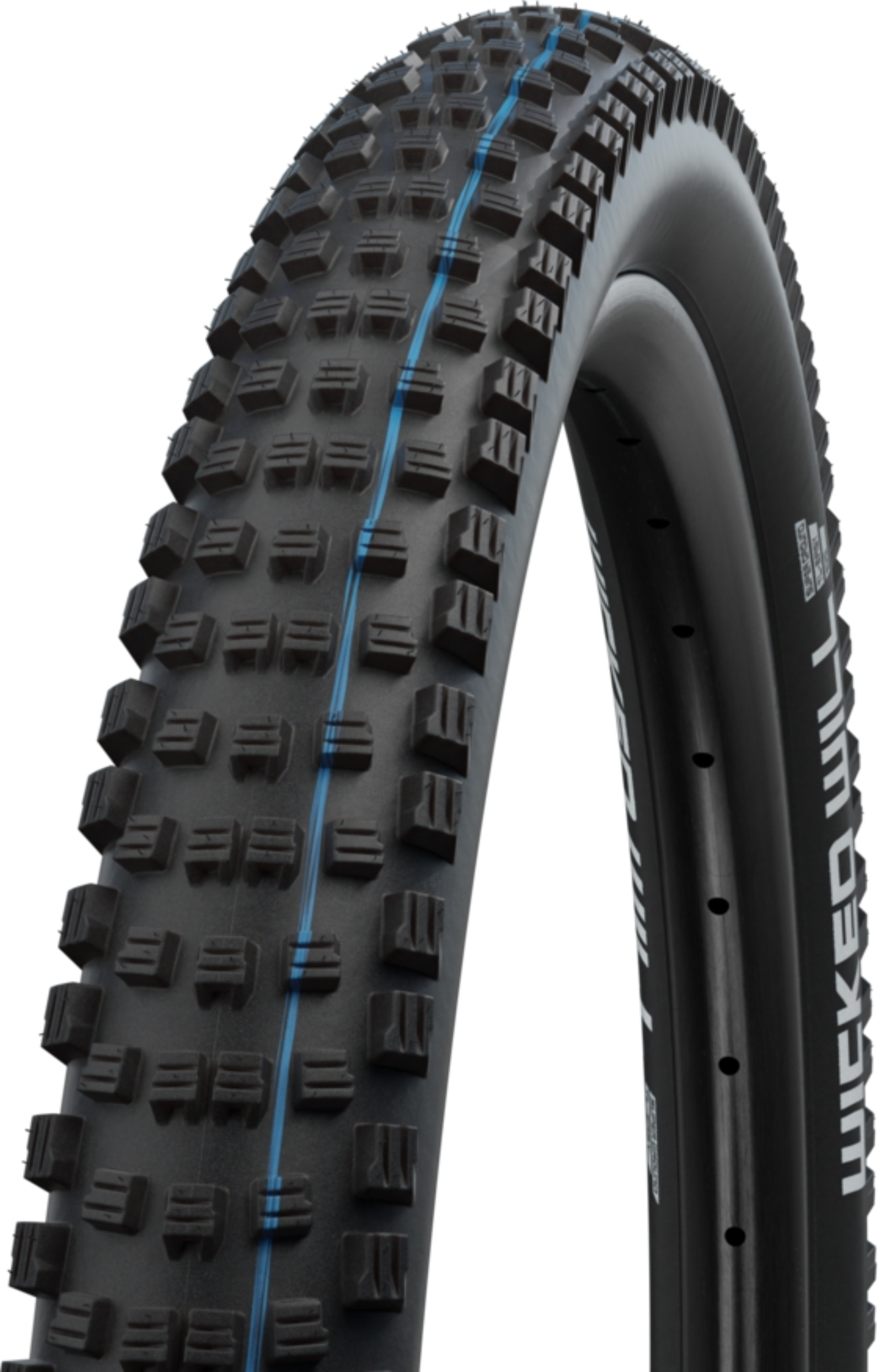 Schwalbe Wicked Will Performance 29