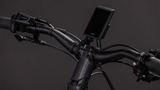 Cube Kathmandu Hybrid EXC 800 Easy Entry cedar´n´chrome (2026)
