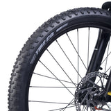 ACADEMY Trail 4 20" Amber (2026)