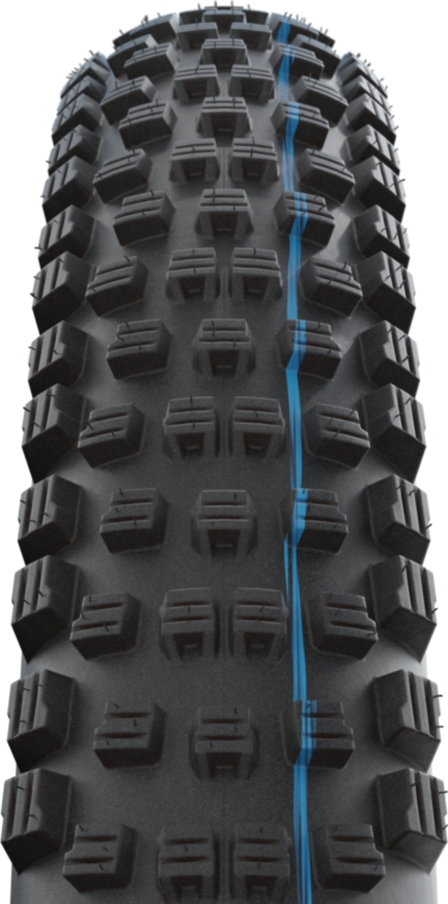 Schwalbe Wicked Will Performance 29