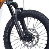 ACADEMY Trail 4 20" Amber (2026)