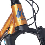 ACADEMY Trail 4 20" Amber (2026)