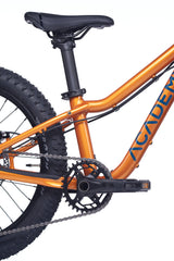 Academy Trail 4 R 20 Zoll Mountainbike  Amber (2026)