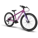 Eightshot COADY 275 SL DISC flat violet (2026)