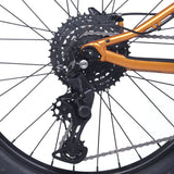 ACADEMY Trail 4 20" Amber (2026)