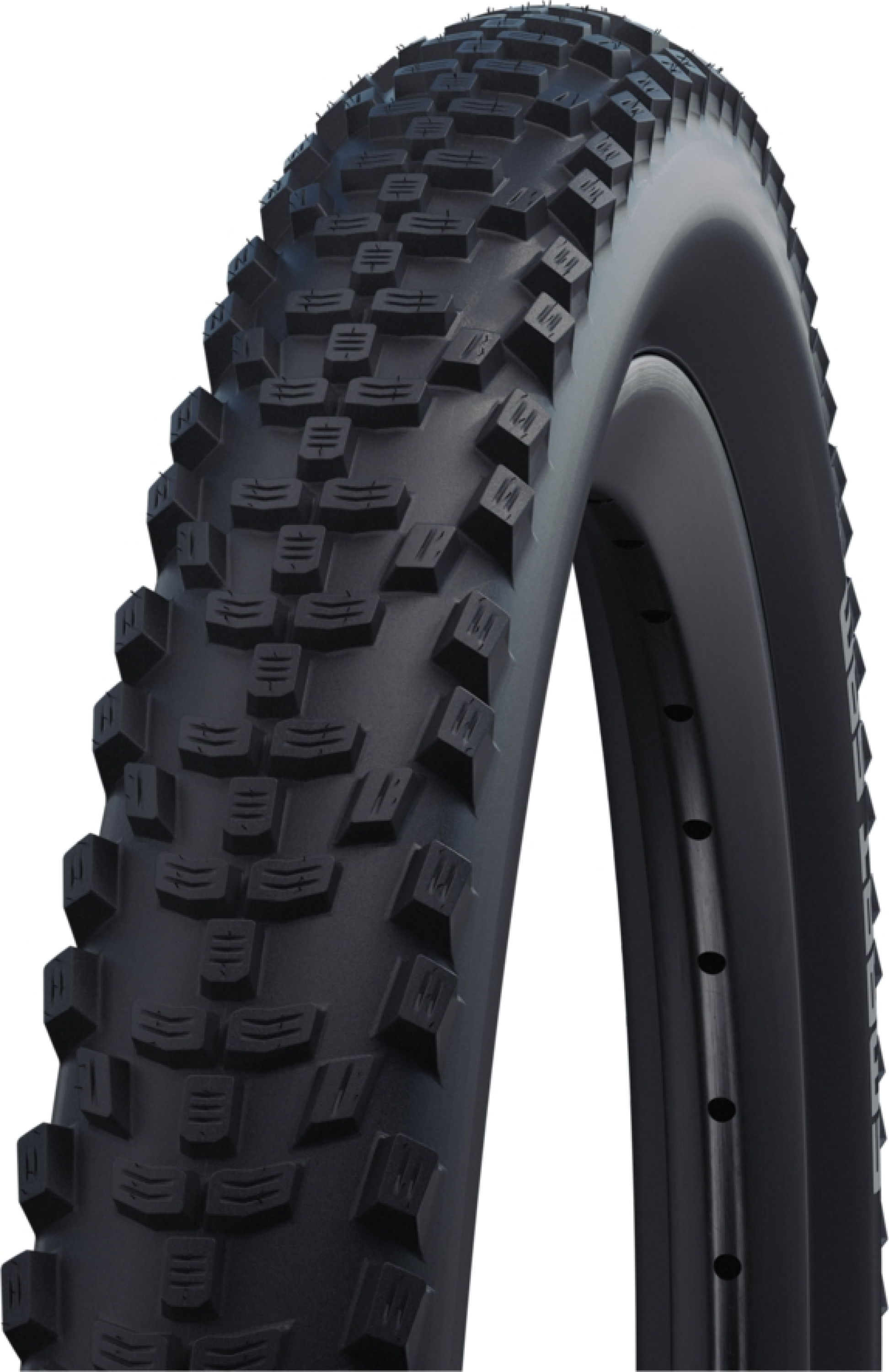 SCHWALBE Smart Sam Performance Drahtreifen Addix 29x2.60