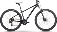 Raymon Nayta (2026) | 29 Zoll MTB Hardtail | black/iredesciant black – aktuelle Variante