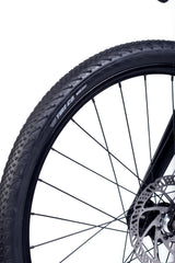 ACADEMY S-grade Gravel 5 24" Forest (2026)